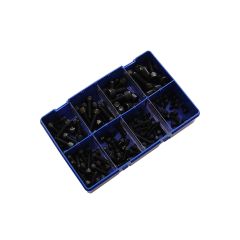 Assorted Socket Cap Screw Kit - M5 - M10