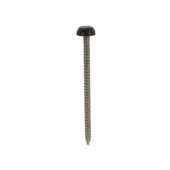 A4-316 St/St Plastic Headed Pins Black - 40 x 2.1mm
